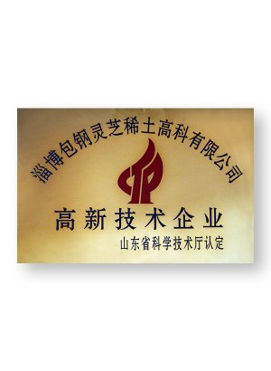 高新技術(shù)企業(yè)